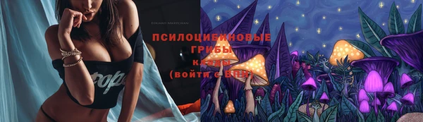 мдпв Покачи